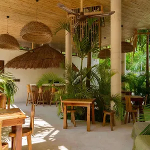 book here